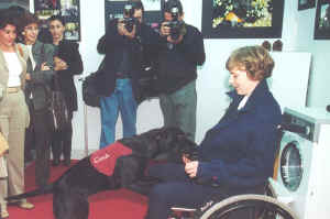 alcalde8_p.jpg (44284 bytes)