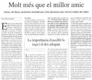 el_nou_201299_4.jpg (66478 bytes)